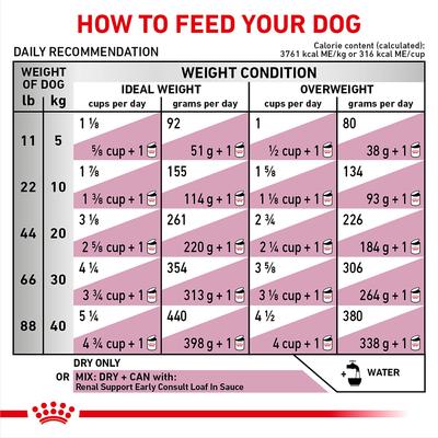 Renal Support Early Consult Dry Dog Food, 5.5-lb bag