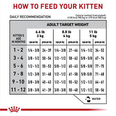 Kitten Gastrointestinal Dry Cat Food, 4.4-lb bag