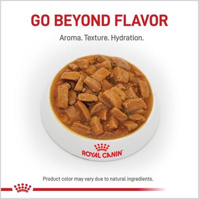 Adult Renal Support D Thin Slices in Gravy Canned Dog Food, 13-oz, case of 24