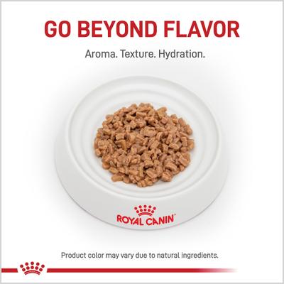 Adult Renal Support D Thin Slices in Gravy Wet Cat Food, 3-oz, case of 24