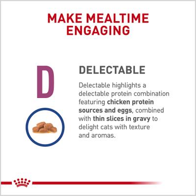 Adult Renal Support D Thin Slices in Gravy Wet Cat Food, 3-oz, case of 24