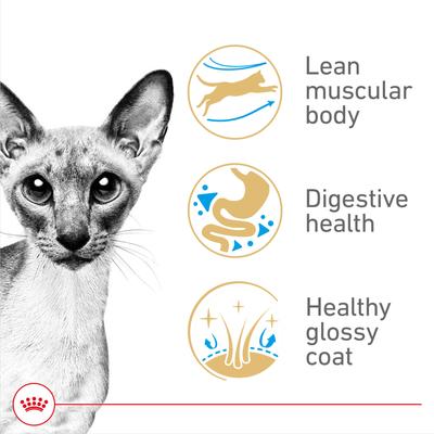 Feline Breed Nutrition Siamese Adult Dry Cat Food, 6-lb bag