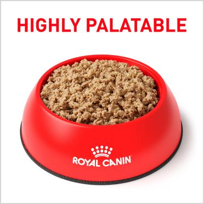 Adult Gastrointestinal Loaf Wet Dog Food, 13.5-oz can, case of 24