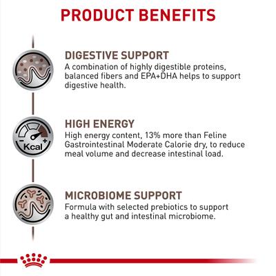 Adult Gastrointestinal Dry Cat Food, 8.8-lb bag