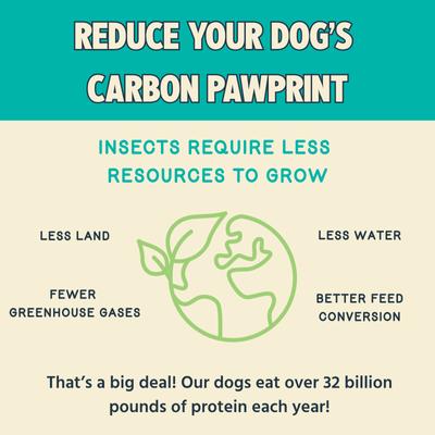 Dog Dental Chew Treat, Large, 7 count