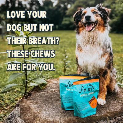 Dog Dental Chew Treat, Medium, 12 count