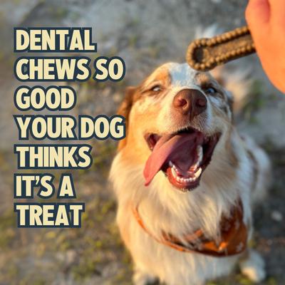 Dog Dental Chew Treat, X-Small, 38 count