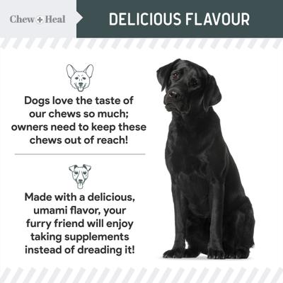 Immune Support Mushroom Complex Soft Chews Supplement for Dogs, 90 count