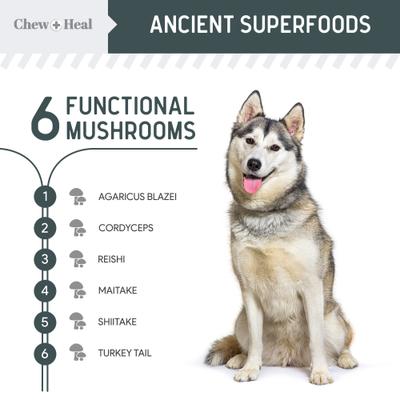 Immune Support Mushroom Complex Soft Chews Supplement for Dogs, 90 count