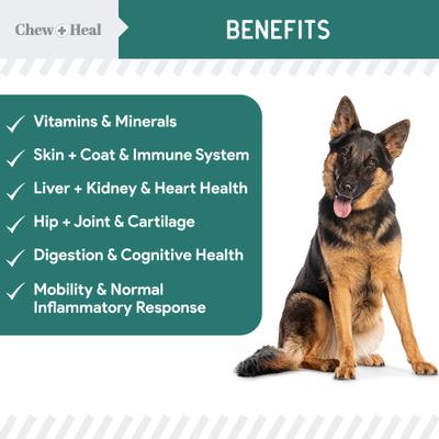 Essential 12-in-1 Multifunctional Support Chews Dog Supplement & Chew + Heal Senior Hip + Joint Chews Dog Supplement, 240 count