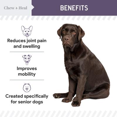 Senior Mobility + Vitality Hip & Joint & Mood Support Chewable Tablets Supplement for Dogs, 120 count