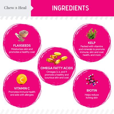 Omega Skin + Coat with Flaxseed, Kelp & Omegas Powder Supplement for Dogs, 14-oz jar