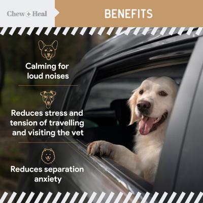 Anxiety + Stress Peanut Butter Flavored Soft Chew Calming Supplement for Dogs, 30 count