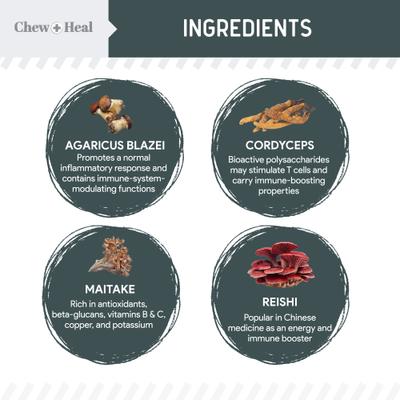 Immune Support Mushroom Complex Soft Chews Supplement for Dogs, 90 count