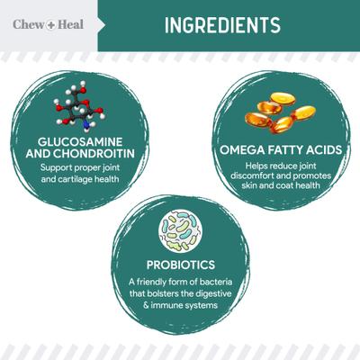 Essential 12-in-1 Multifunctional Support Chews Dog Supplement & Chew + Heal Senior Hip + Joint Chews Dog Supplement, 240 count