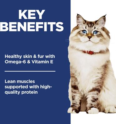 Adult 1-6 Chicken Rice Recipe No Corn, Wheat or Soy Dry Cat Food, 7-lb bag