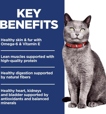 Senior Adult 7+ Chicken & Brown Rice Recipe No Corn, Wheat or Soy Dry Cat Food, 7-lb bag