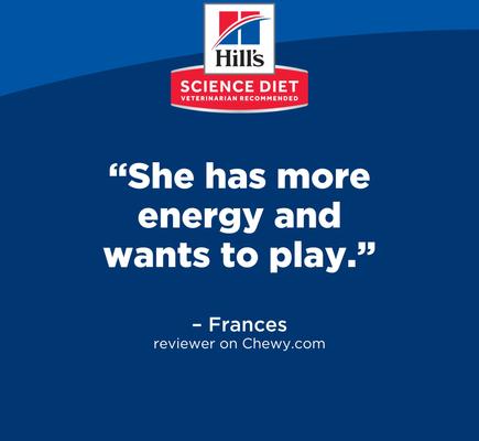 Adult 7+ Senior Vitality Chicken Recipe Dry Dog Food, 12.5-lb bag