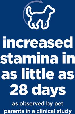 Adult 7+ Senior Vitality Chicken Recipe Dry Dog Food, 12.5-lb bag