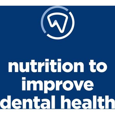 Alimento seco para gatos con receta de pollo para adultos, bolsa de 7 lb