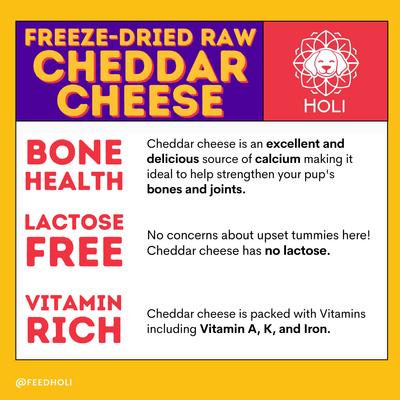 Single Ingredient Cheddar Cheese Freeze-Dried Dog & Cat Treats, 5-oz bag
