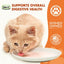 Feline Pre & PostBiotic Support Unflavored Cat Digestive Aid, 8-fl oz bottle