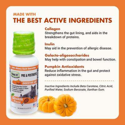 Feline Pre & PostBiotic Support Chicken Flavor Cat Digestive Aid, 8-fl oz bottle