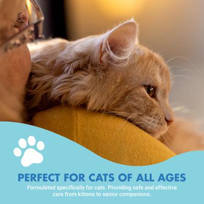 Suplemento para dientes y encías con sabor a mariscos para gatos, botella de 8 onzas líquidas