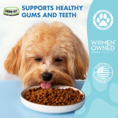 Teeth & Gums Support Pot Roast Flavor Dog Supplement, 32-fl oz bottle
