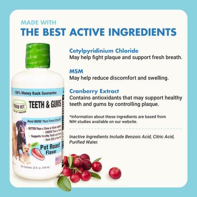 Teeth & Gums Support Pot Roast Flavor Dog Supplement, 32-fl oz bottle