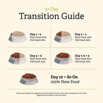 Endless Valley Vegan Dry Dog Food, 6-lb bag