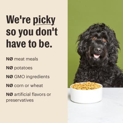 Essential Clusters Whole Grain Turkey & Chicken Dry Dog Food, 20-lb bag