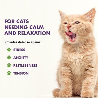 Suplemento calmante líquido con sabor a mariscos para gatos Calm & Content Support, botella de 8 onzas líquidas