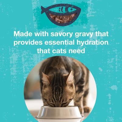 Comida húmeda para gatos Poké Bowl Variety Pack, bolsa de 3 oz, caja de 12