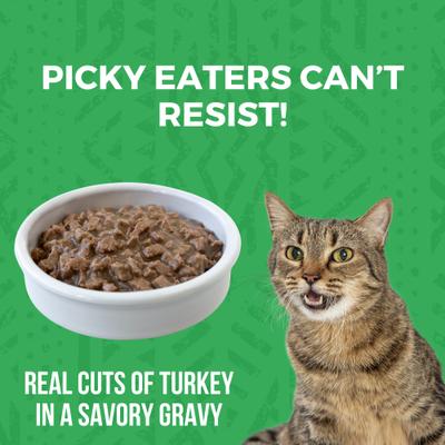 Minimal Ingredient Turkey Stew Grain-Free Wet Cat Food, 5.5-oz can, case of 24