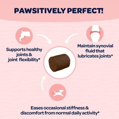 Joint & Hip Dog Supplement, 60 count