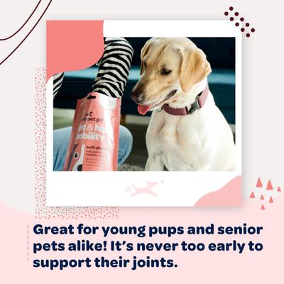 Joint & Hip Dog Supplement, 60 count