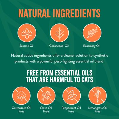 Champú suave natural para gatos contra pulgas y garrapatas, 355 ml