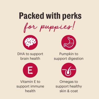 Meaty Littles Lamb & Salmon Dog Treats, 4-oz bag