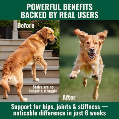 Anti-Inflammatory Green Lipped Mussel Powder Supplement for Dogs, 2.64-oz bag