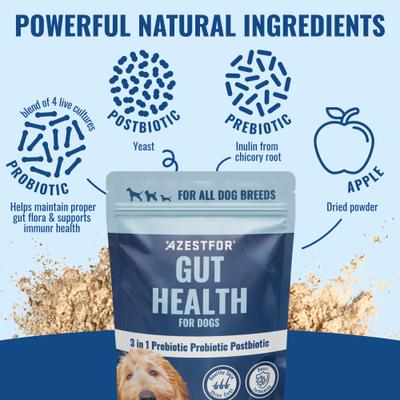Gut Health 3-in-1 Prebotic Probotic Postbiotic Apple Flavored Powder Supplement for Dogs, 2.1-oz bag