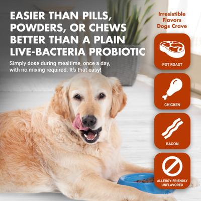 K9 Pre & PostBiotic Support Pot Roast Flavor Dog Digestive Aid, 8-oz bottle, 2 count