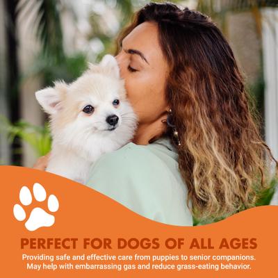 K9 Pre & PostBiotic Support Bacon flavor Dog Digestive Aid, 8-oz bottle, 2 count