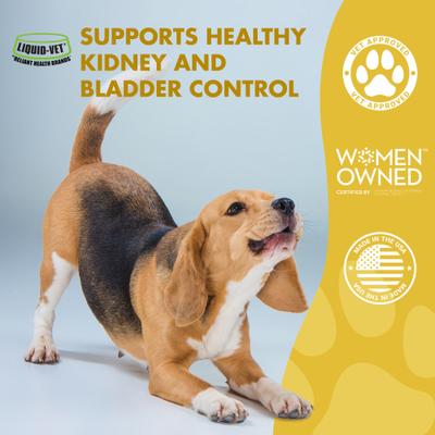 Kidney & Bladder Support Max Cranberry Chicken Flavor Dog Supplement, 8-oz bottle, 2 count