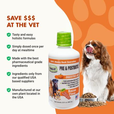 K9 Pre & PostBiotic Support Bacon Flavor Dog Digestive Aid, 32-fl oz bottle