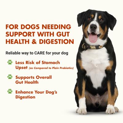 K9 Pre & PostBiotic Support Pot Roast Flavor Dog Digestive Aid, 8-oz bottle, 2 count