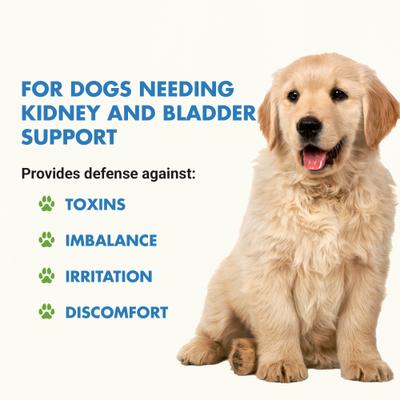 Kidney & Bladder Support Max Cranberry Chicken Flavor Dog Supplement, 8-oz bottle, 2 count