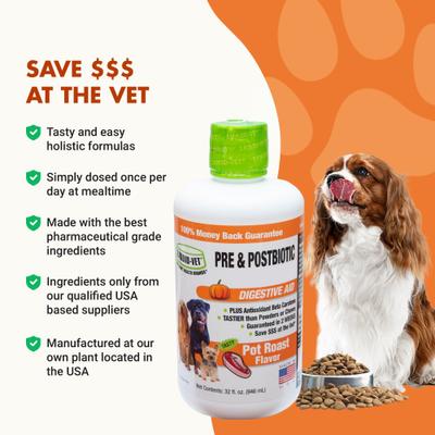 K9 Pre & PostBiotic Support Pot Roast Flavor Dog Digestive Aid, 32-fl oz bottle