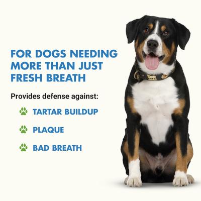 Teeth & Gums Support Chicken Flavor Dog Supplement, 8-oz bottle, 2 count