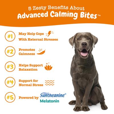 Advanced Hemp Melatonin Calming Bites Turkey Flavored Soft Chews Composure Supplement for Dogs, 20 count